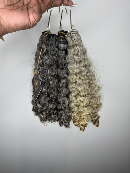 Burmese Curly | Gold