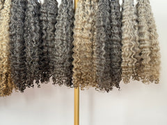 Burmese Curly | Gold