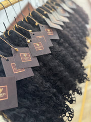 Burmese Curly | Black