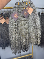 Burmese Curly | Gray