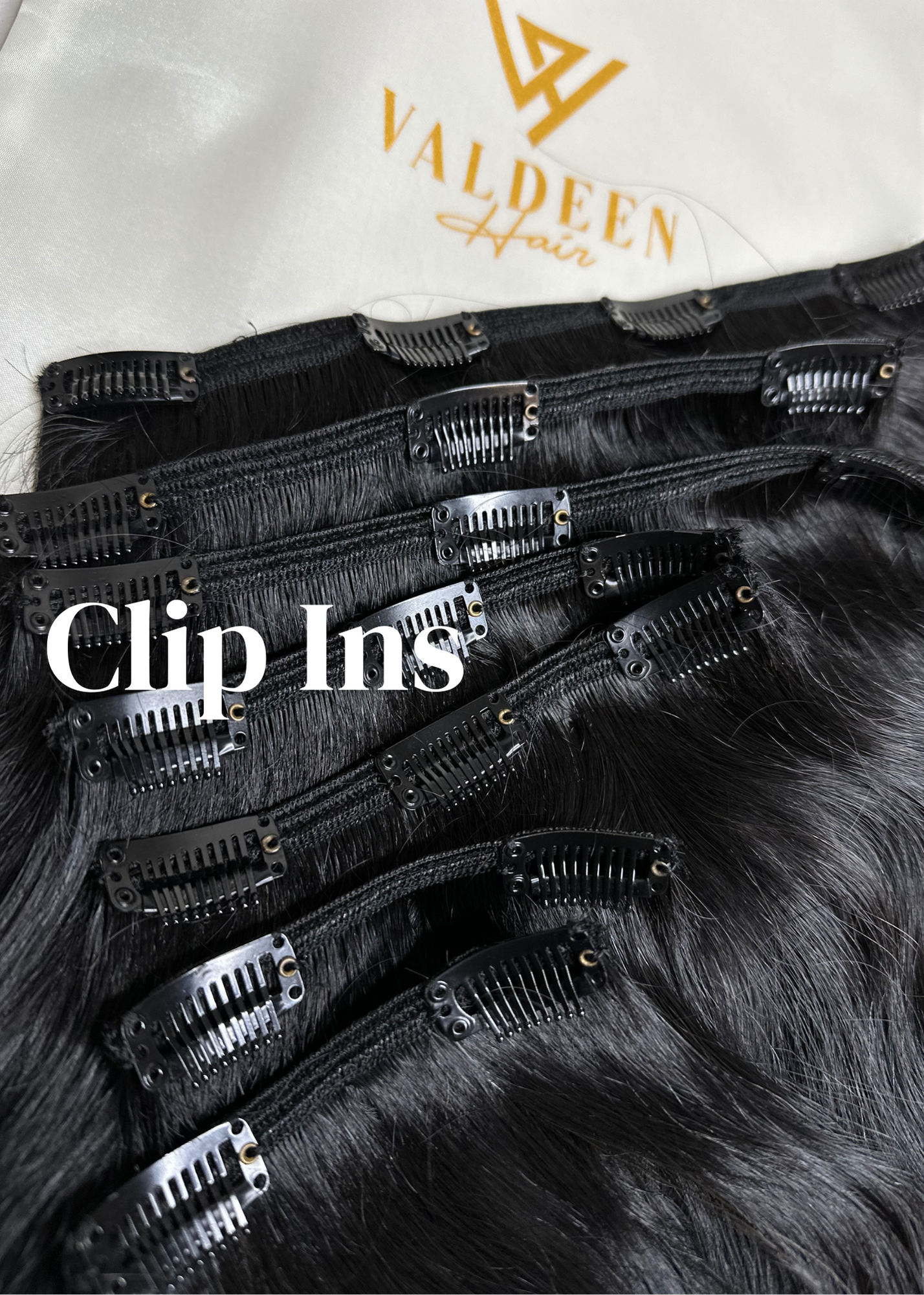 Clip Ins