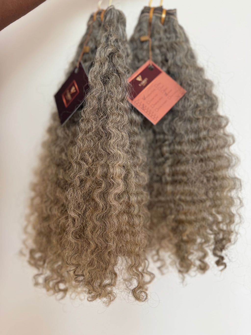 Burmese Curly | Limited - LB4