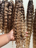 Burmese Curly | Toffee