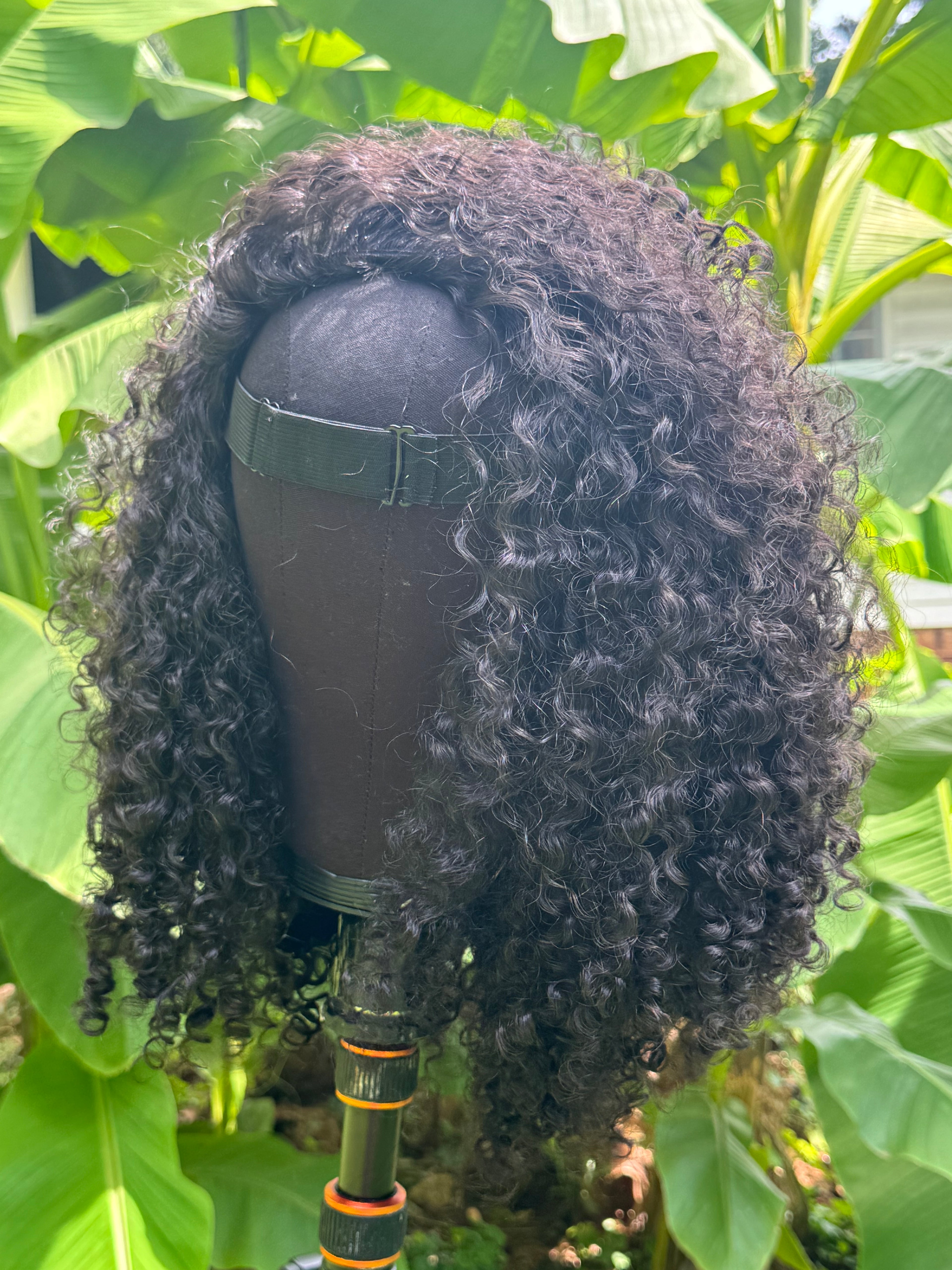 Halfwig: Burmese Curly | Luxe