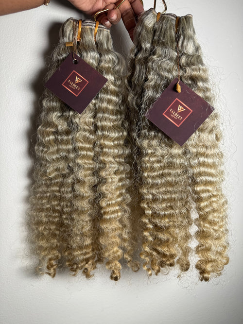 Burmese Curly | Limited - LB2
