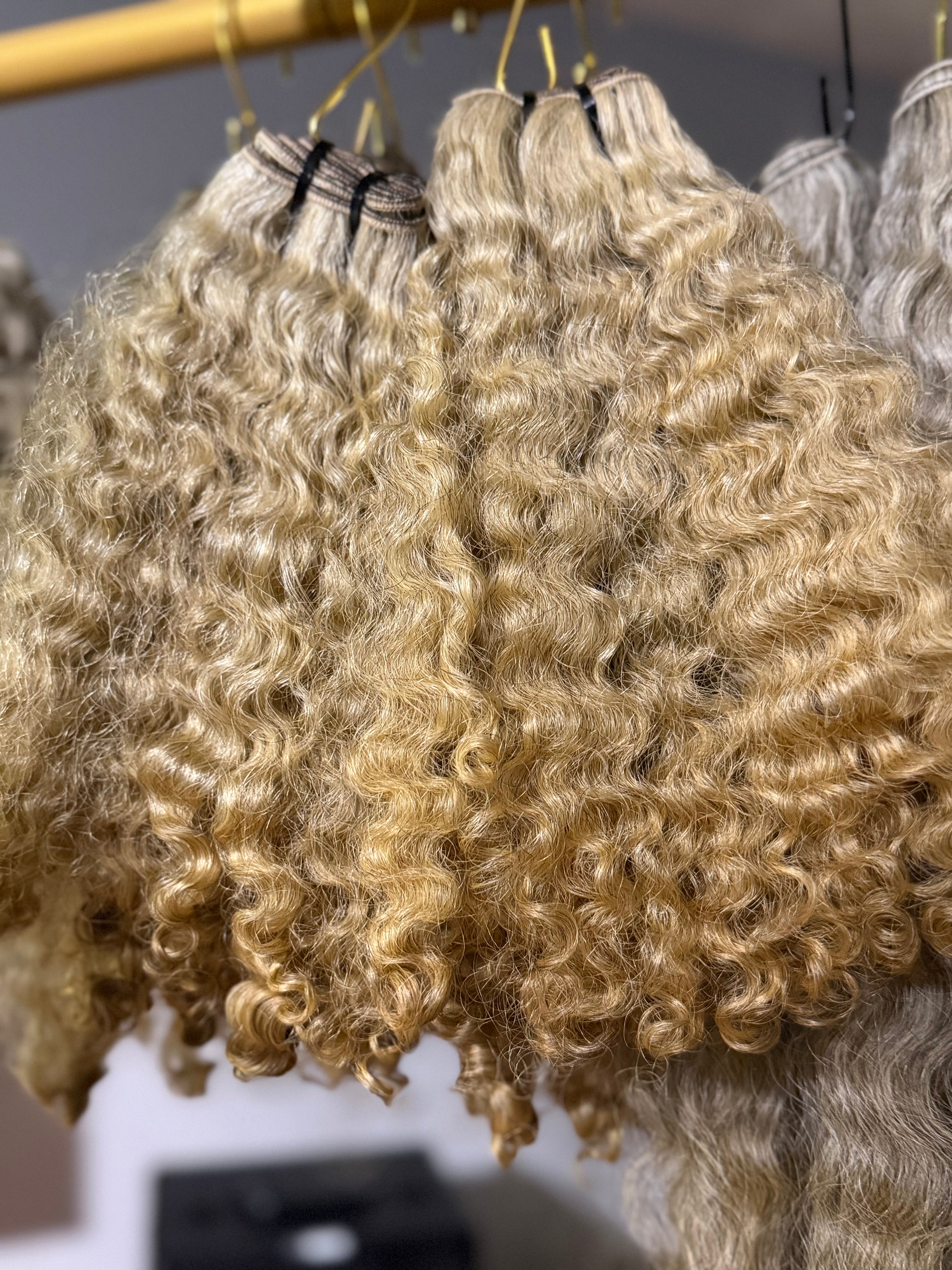 Burmese Curly | Limited - LB4