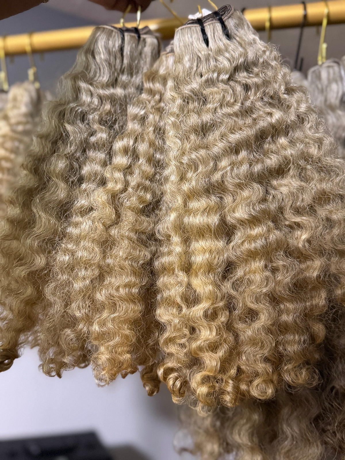 Burmese Curly | Limited - LB4