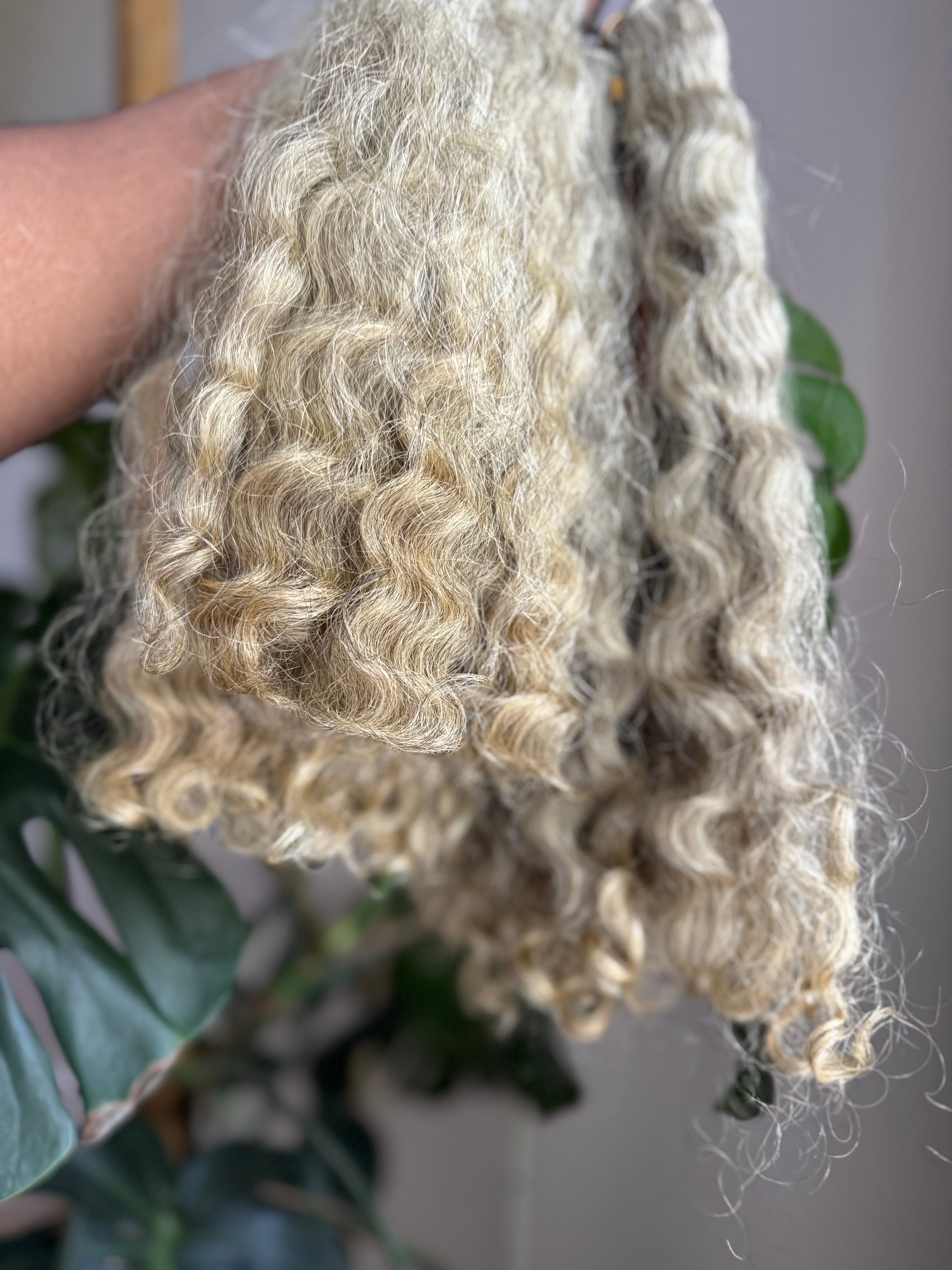 Loose Curly | Limited - LL1
