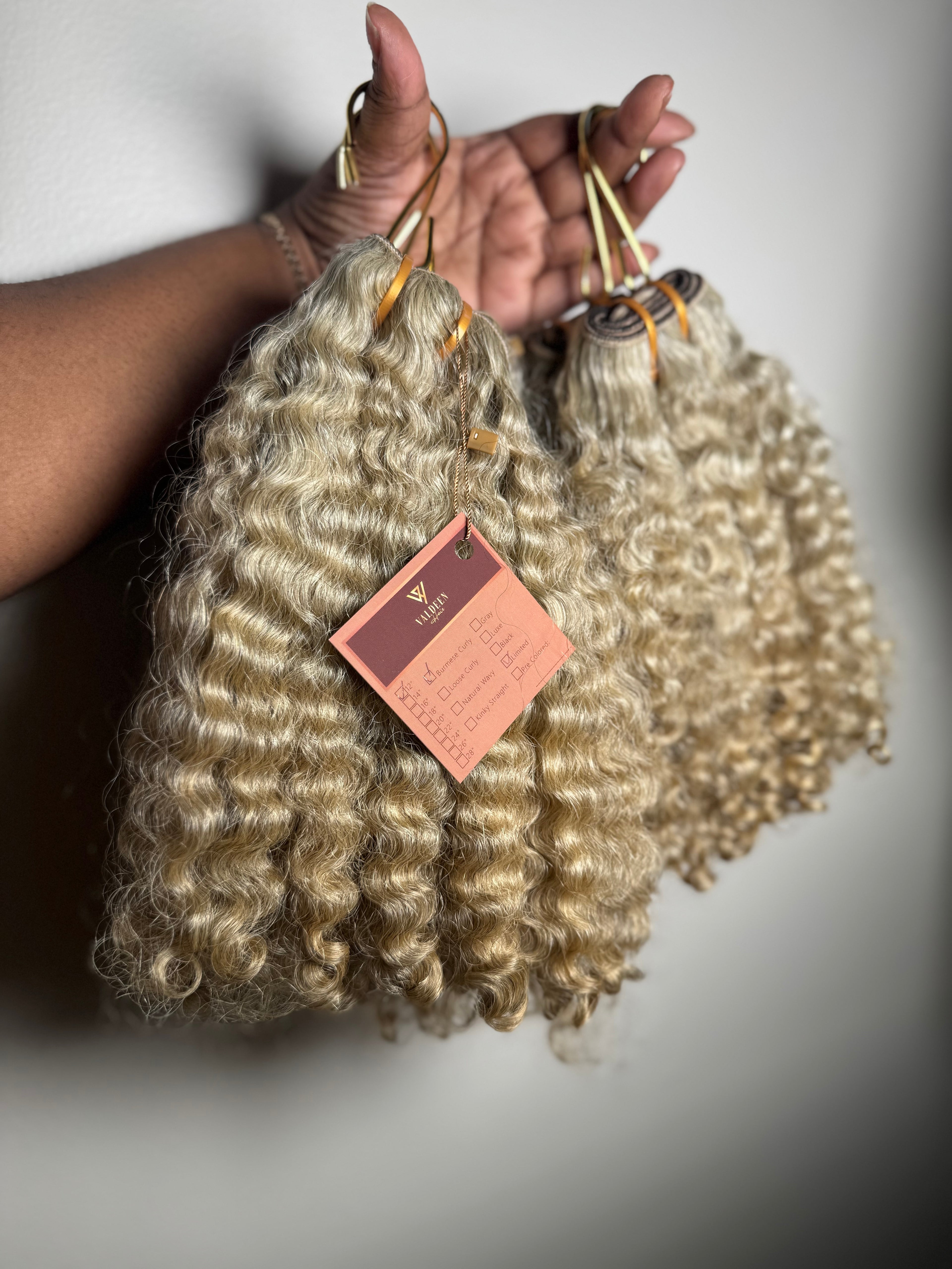 Burmese Curly | Limited - LB3