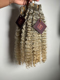 Burmese Curly | Limited - LB2
