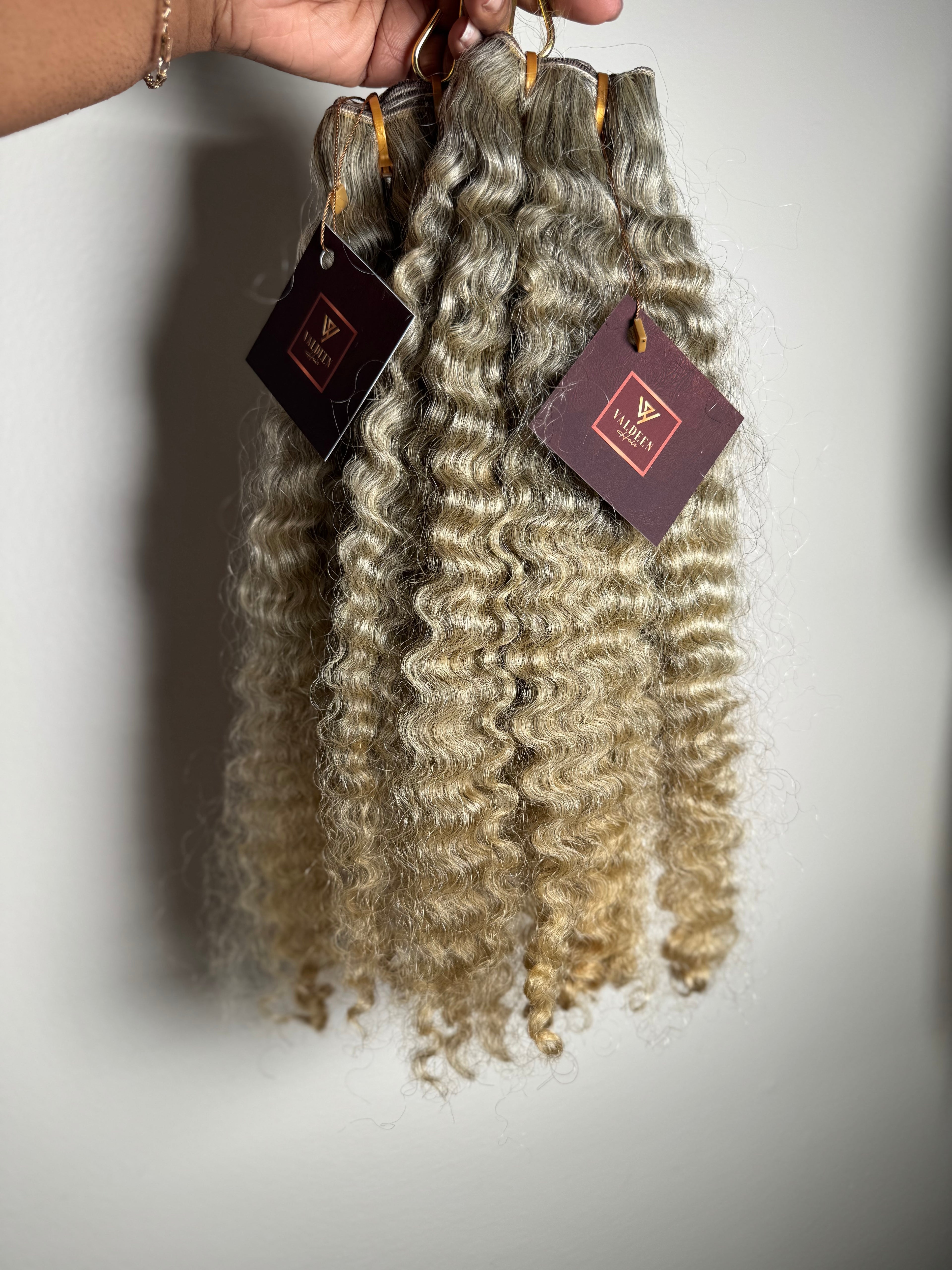 Burmese Curly | Limited - LB2