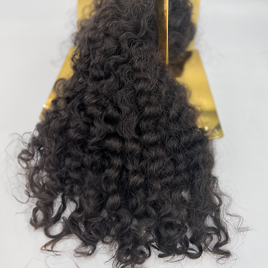 Burmese Curly | Black