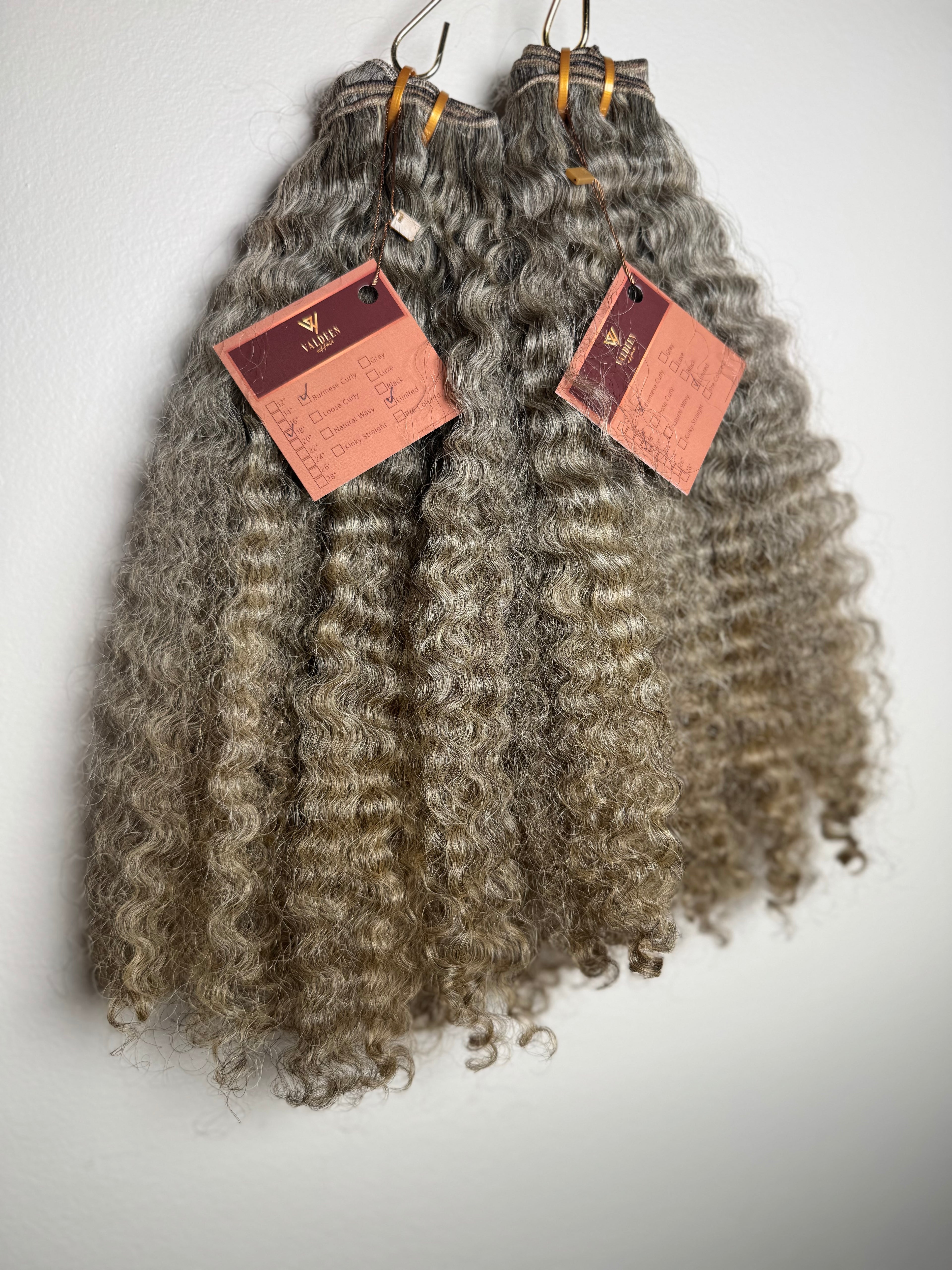 Burmese Curly | Limited - LB4