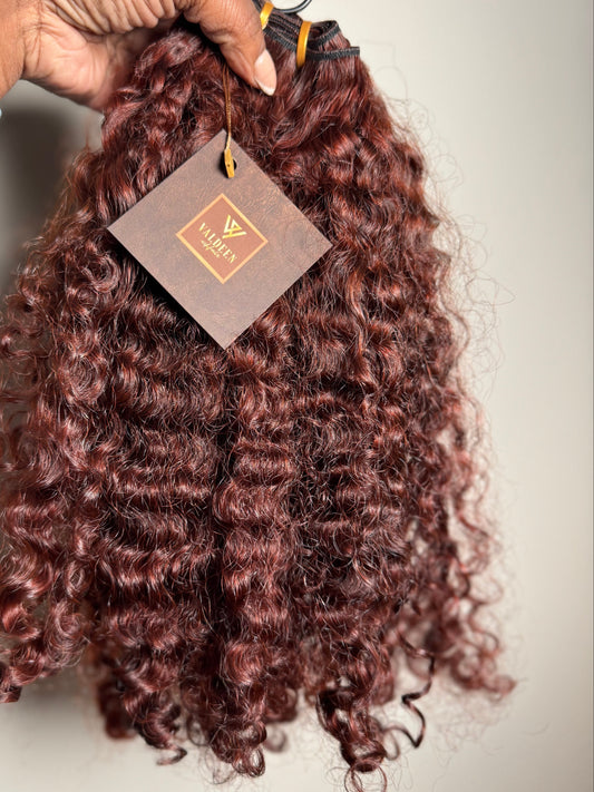 Burmese Curly colored to copper