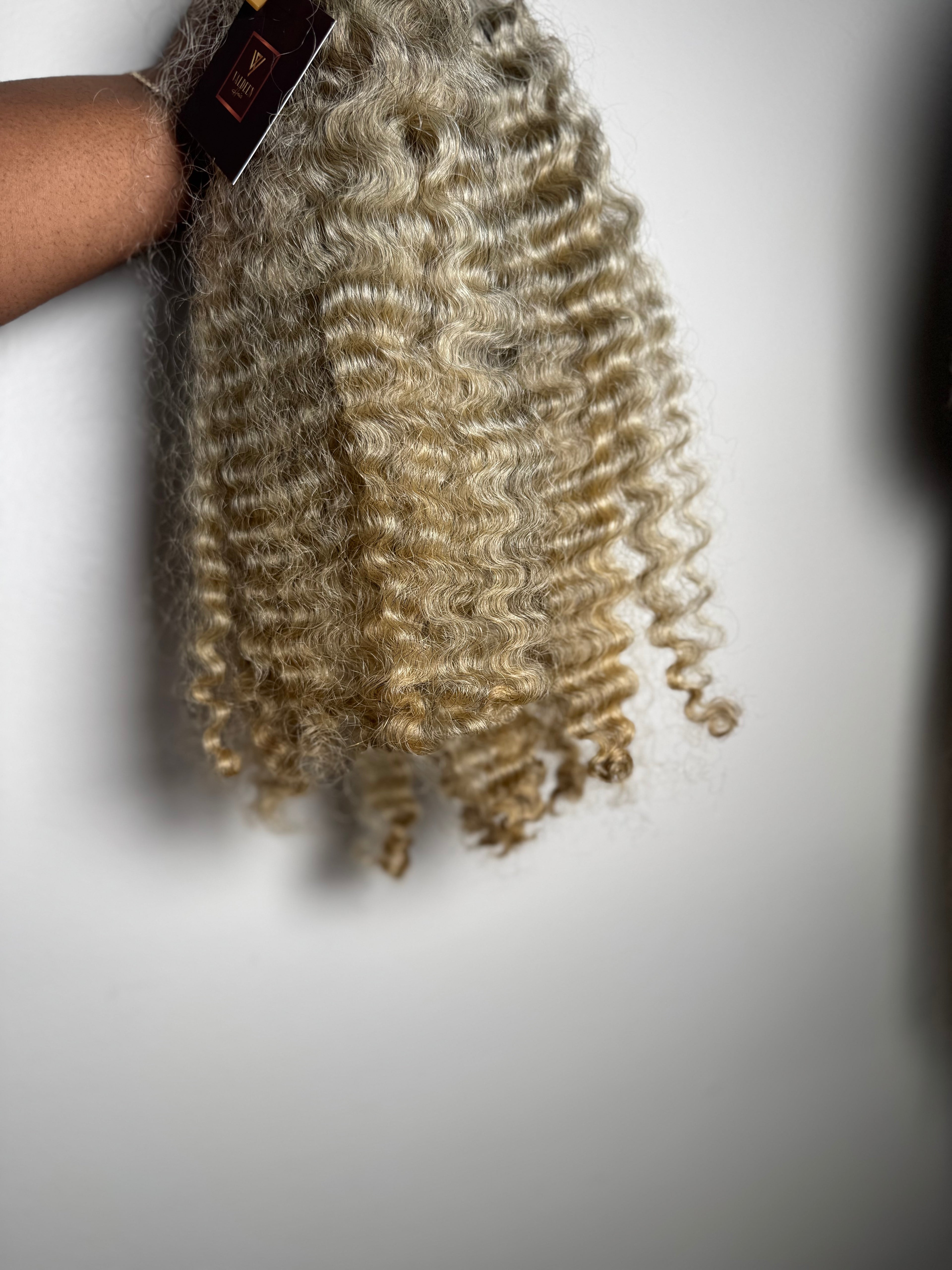 Burmese Curly | Limited - LB2