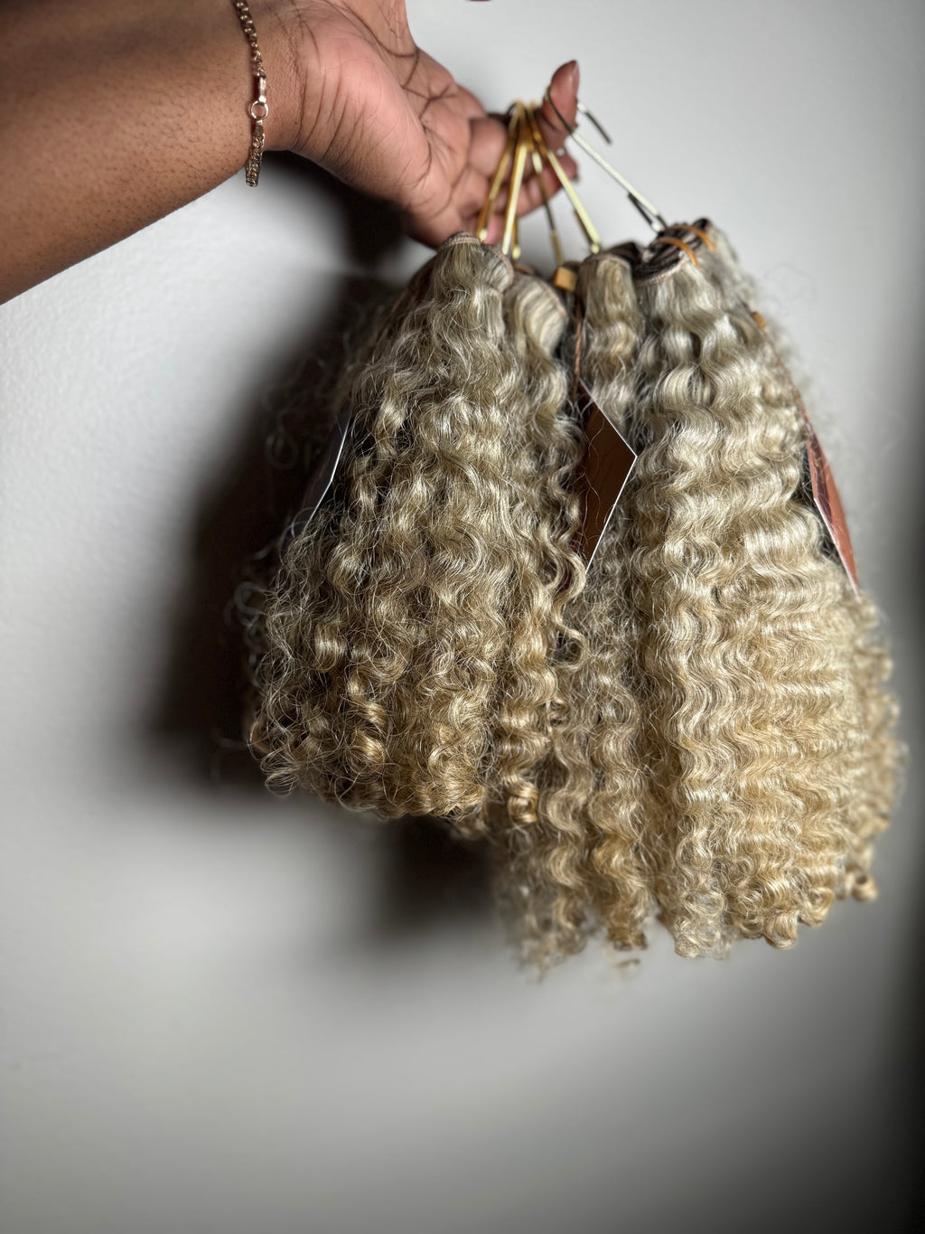 Burmese Curly | Limited - LB3