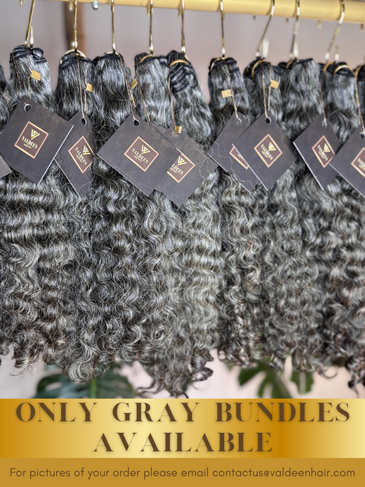 Burmese Curly | Gold