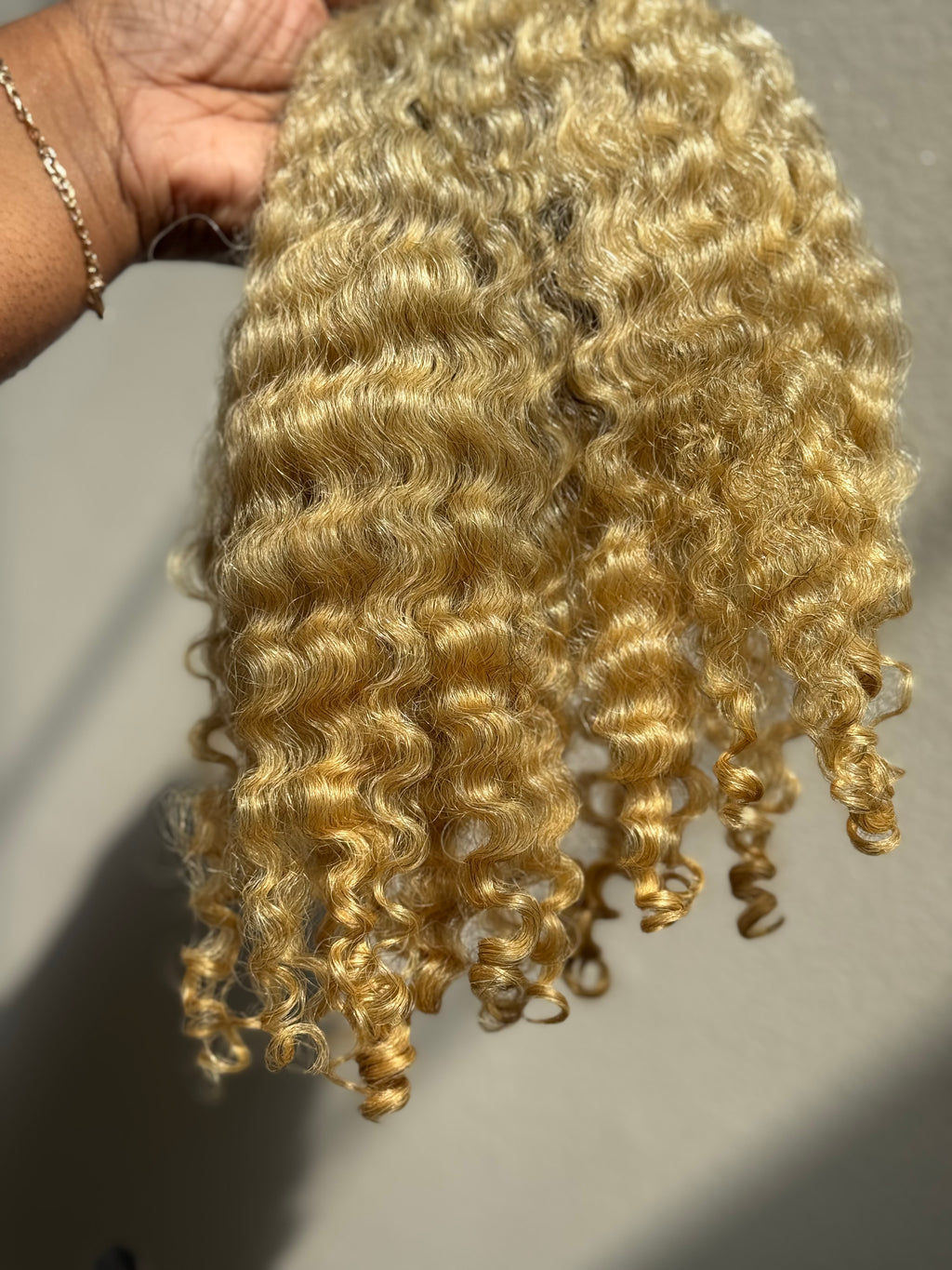 Burmese Curly | Limited - LB1