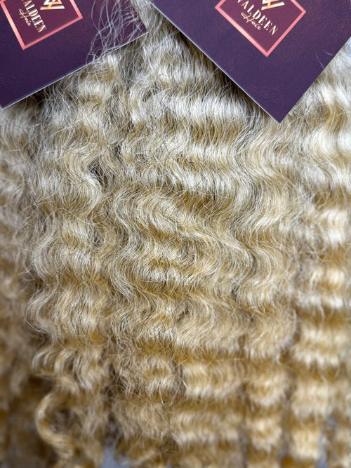 Burmese Curly | Limited - LB1