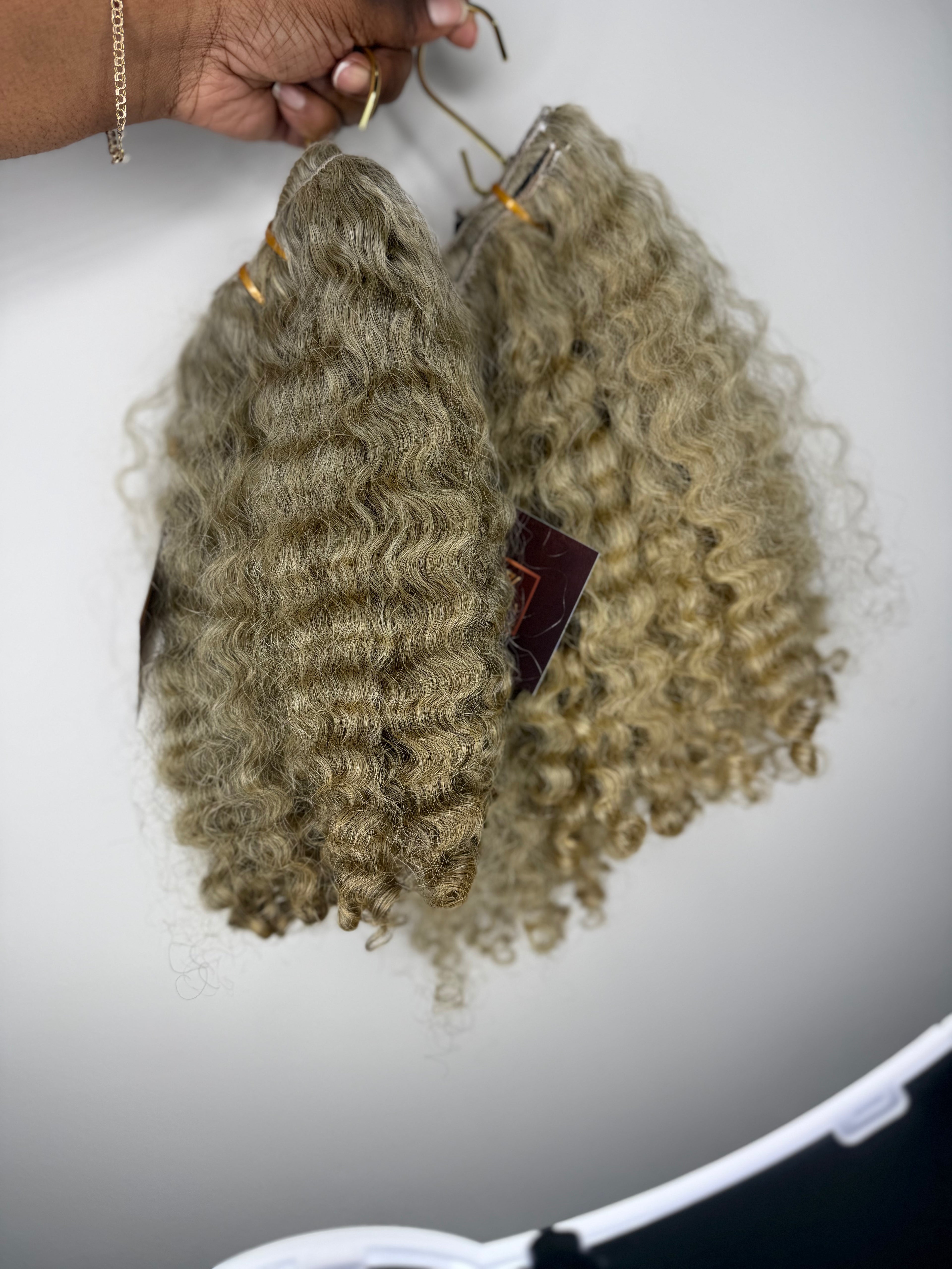 Burmese Curly | Limited - LCIB2