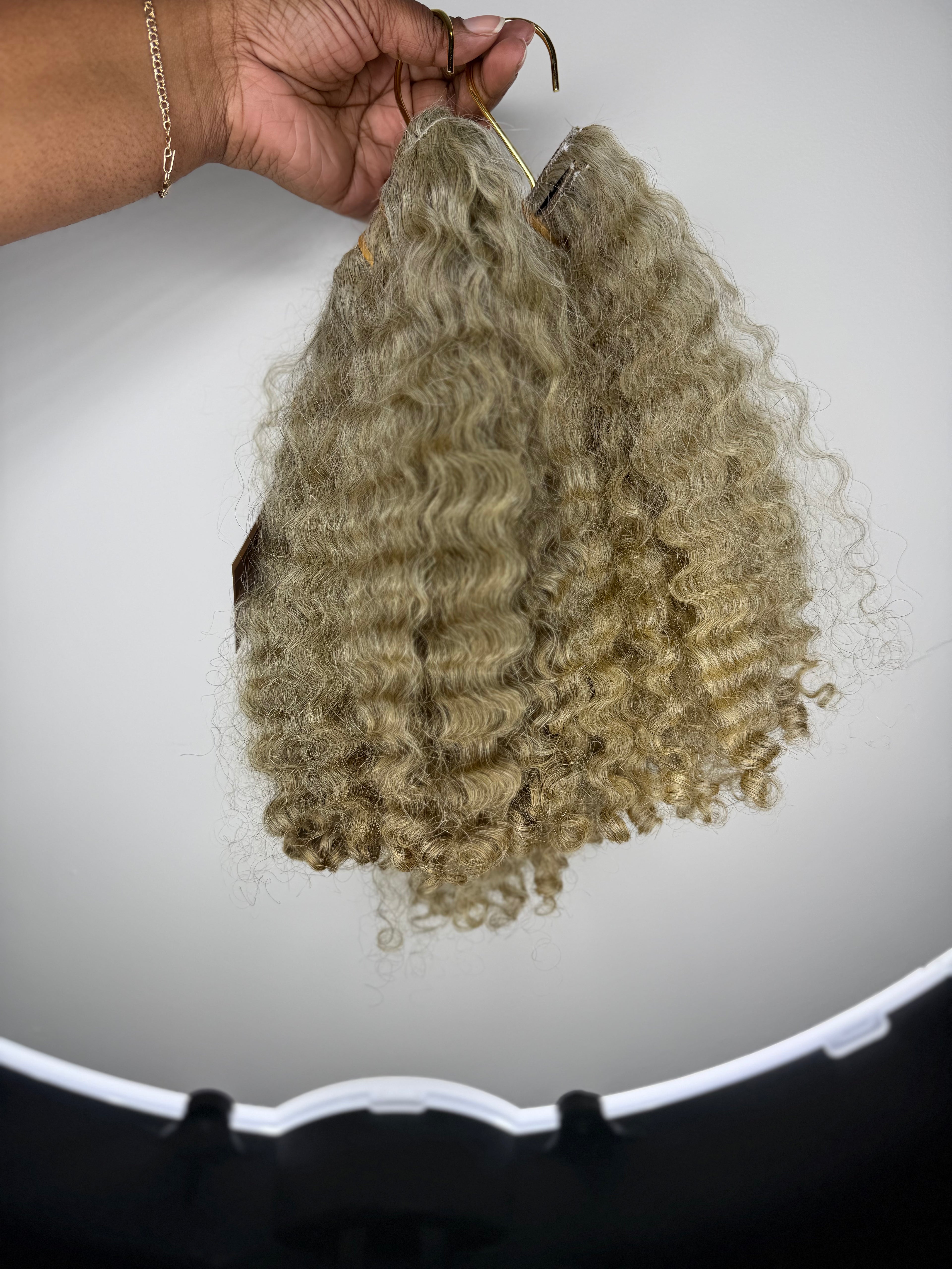 Burmese Curly | Limited - LCIB2