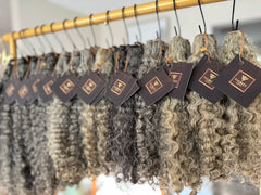 Burmese Curly | Gold