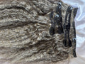 Clip Ins: Kinky Straight | Gray