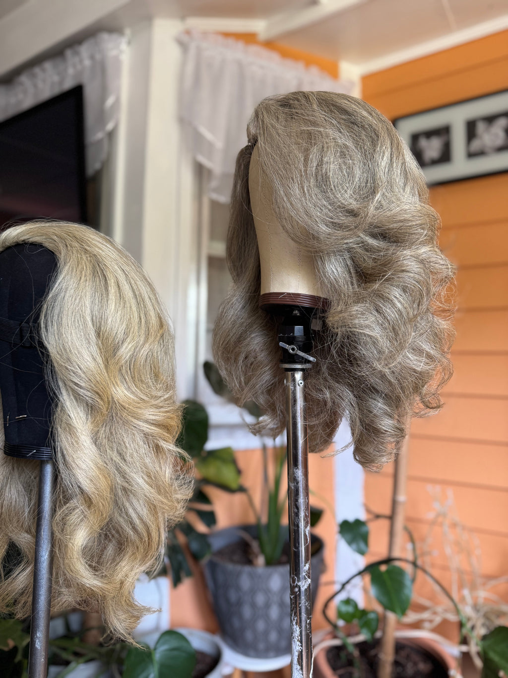 Halfwig: Burmese Curly | Limited -BHW1