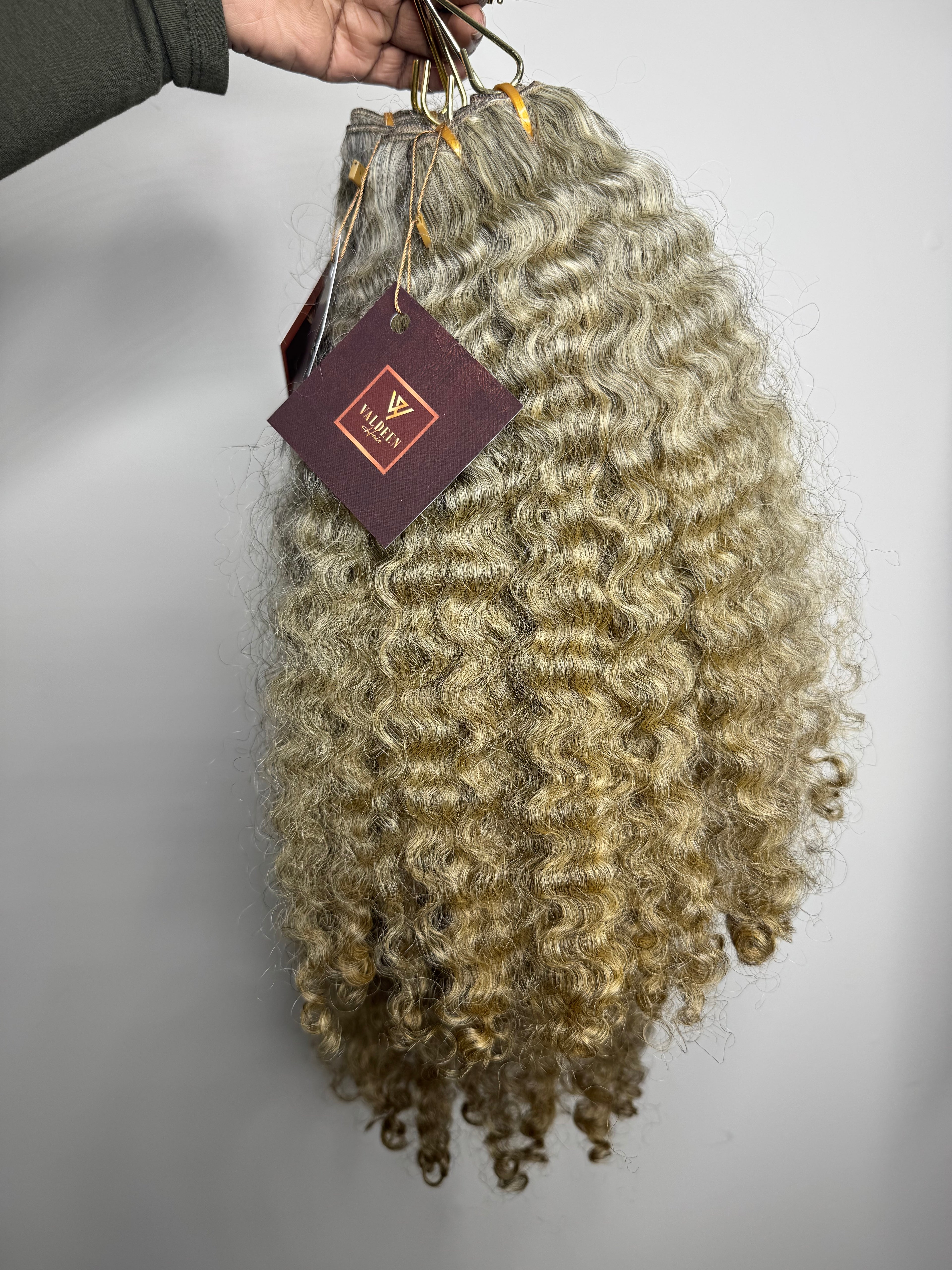 Burmese Curly | Limited - LB3