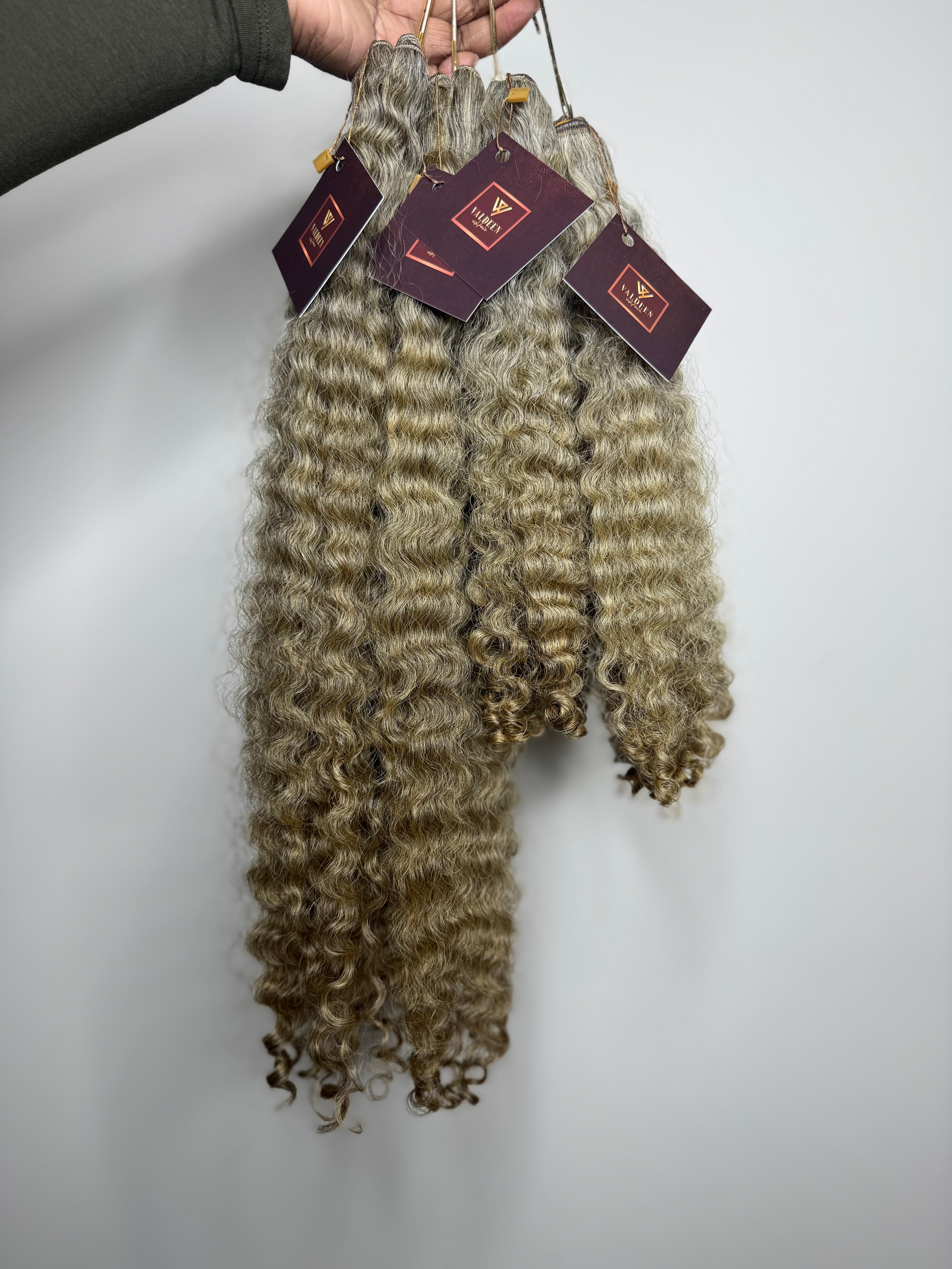 Burmese Curly | Limited - LB3