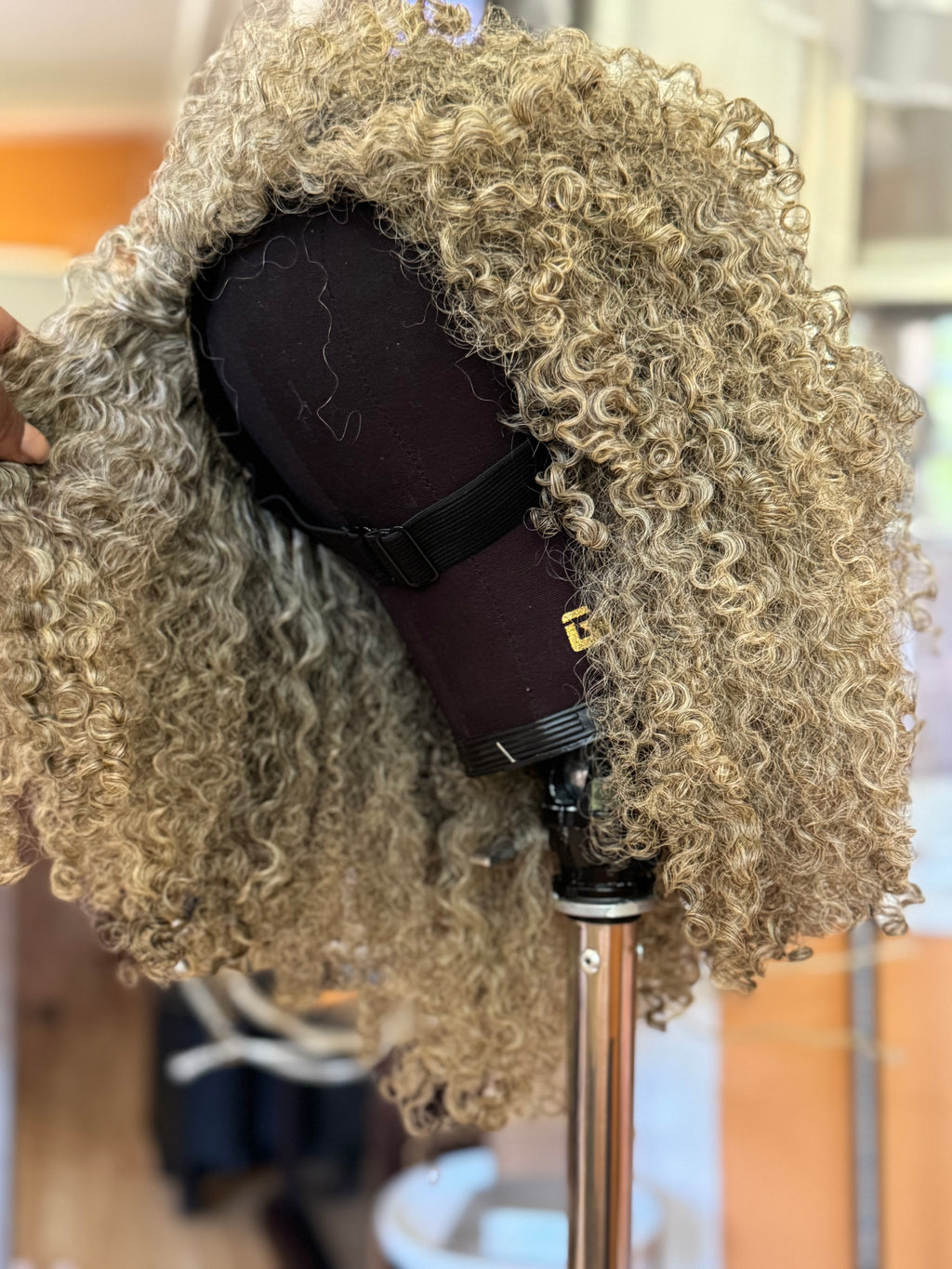 Halfwig: Burmese Curly | Limited -BHW1
