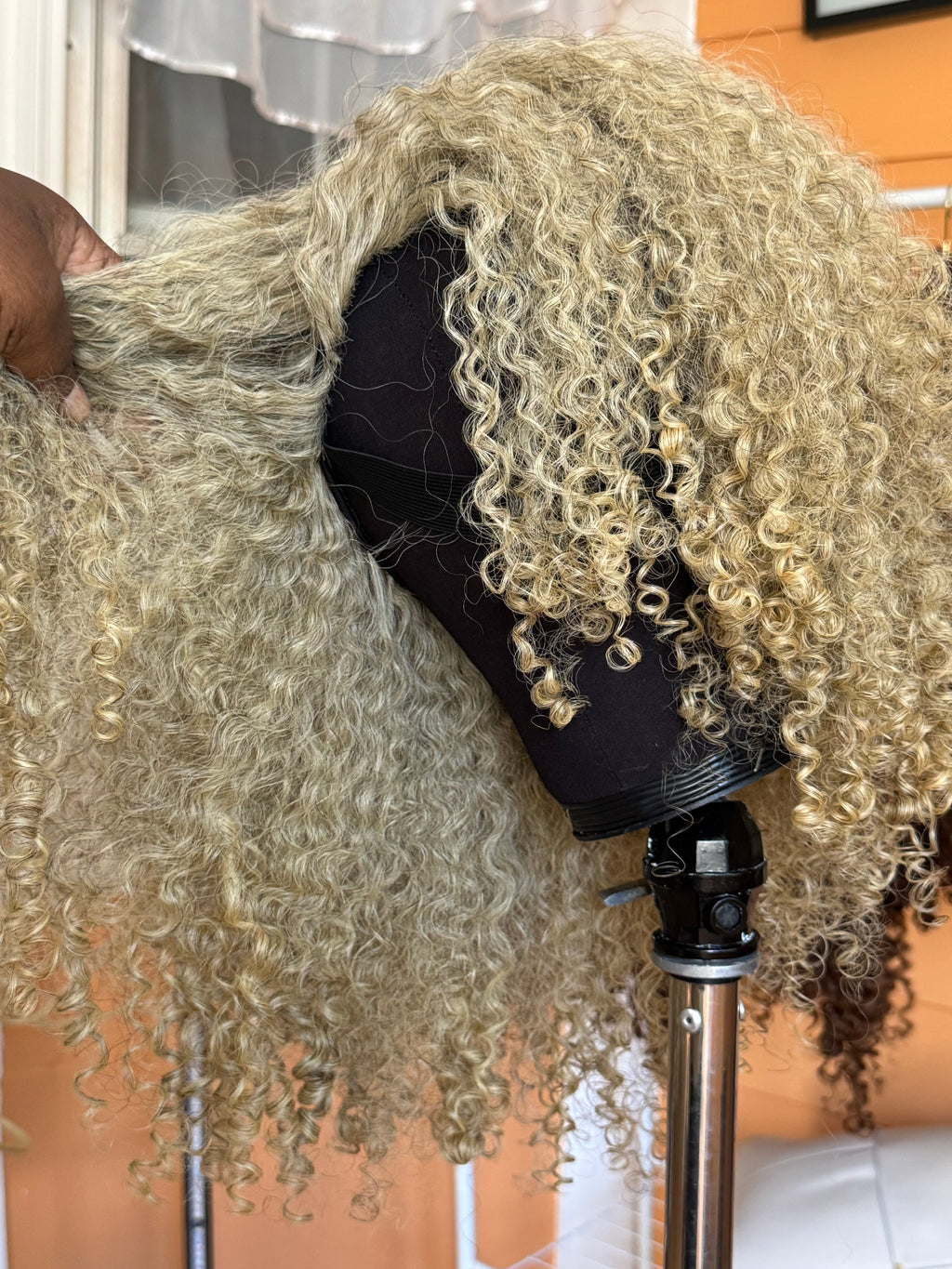 Halfwig: Burmese Curly | Limited -BHW2