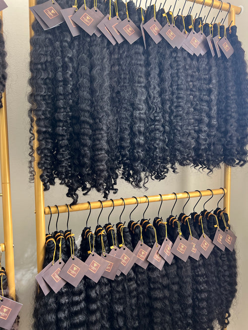 Burmese Curly | Black