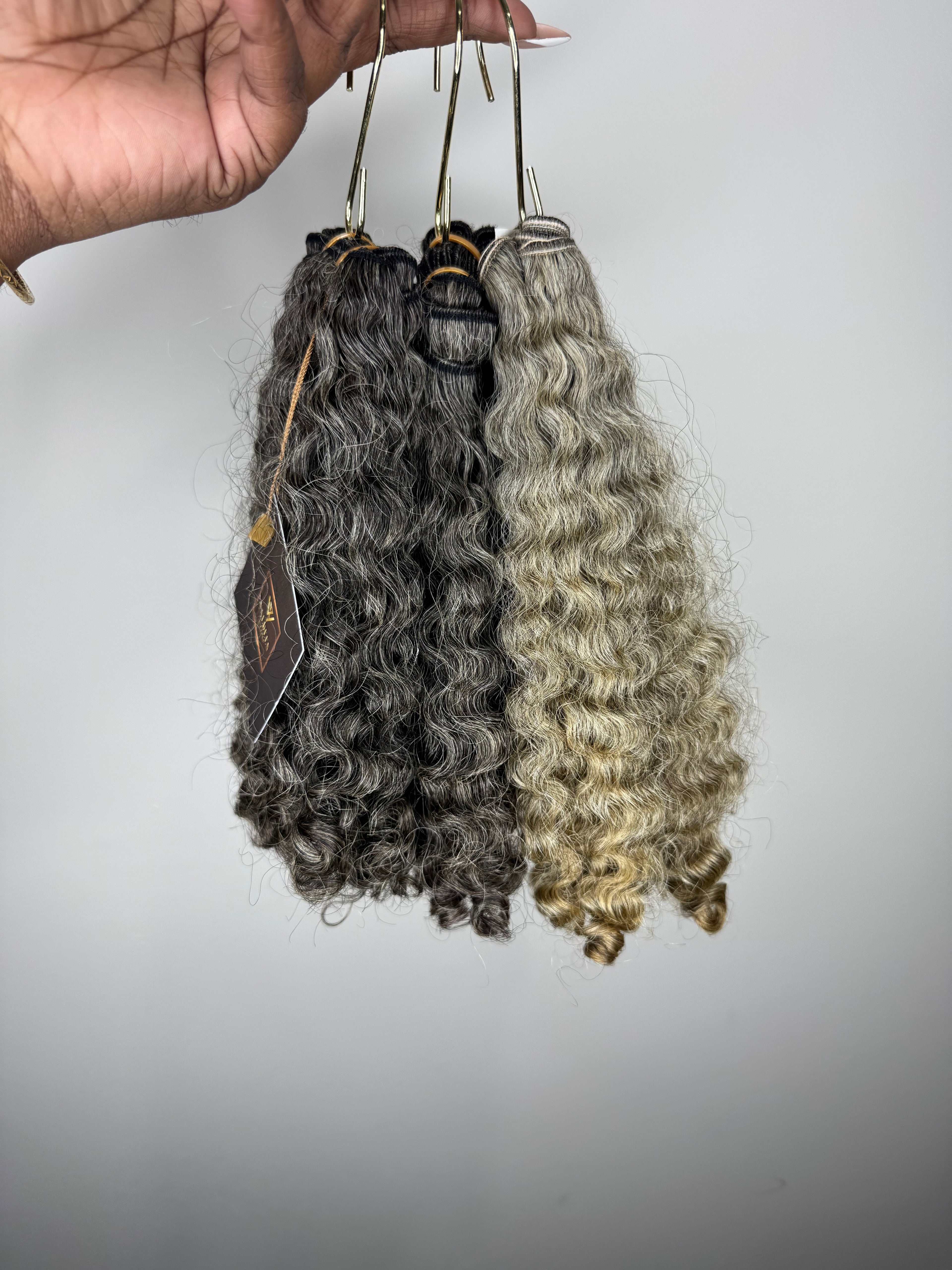 Burmese Curly | Gray