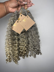 Burmese Curly | Gold