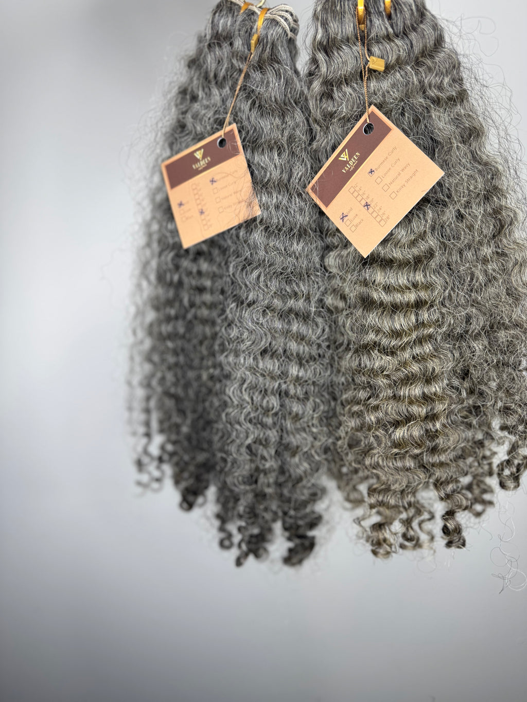 Burmese Curly | Gray