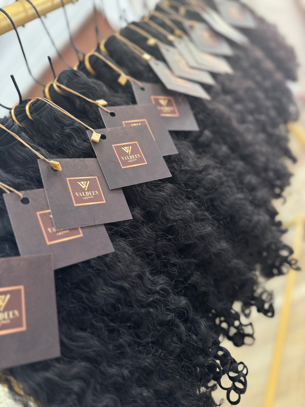 Burmese Curly | Black