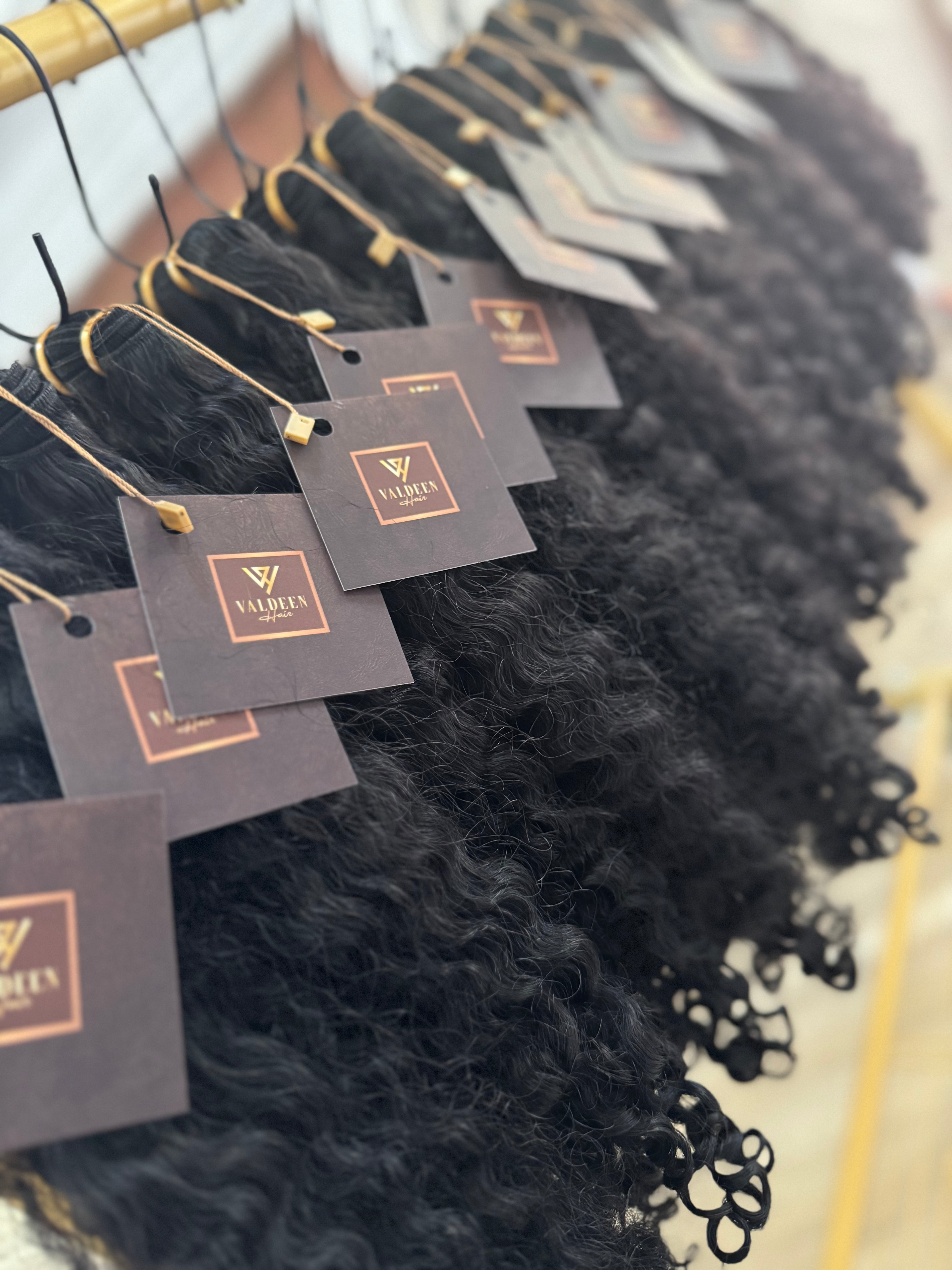 Burmese Curly | Black