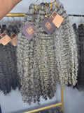 Burmese Curly | Gray