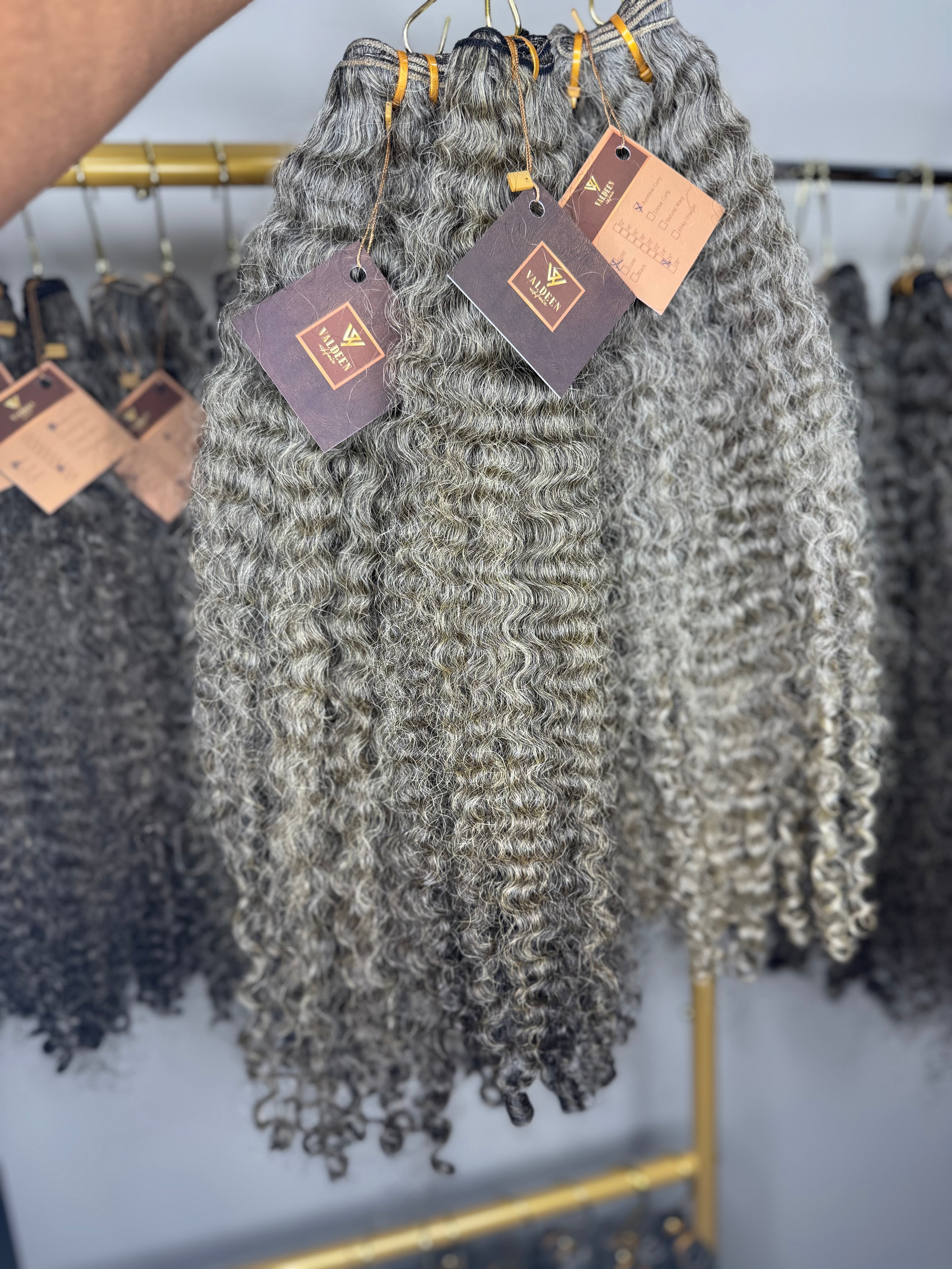 Burmese Curly | Gray