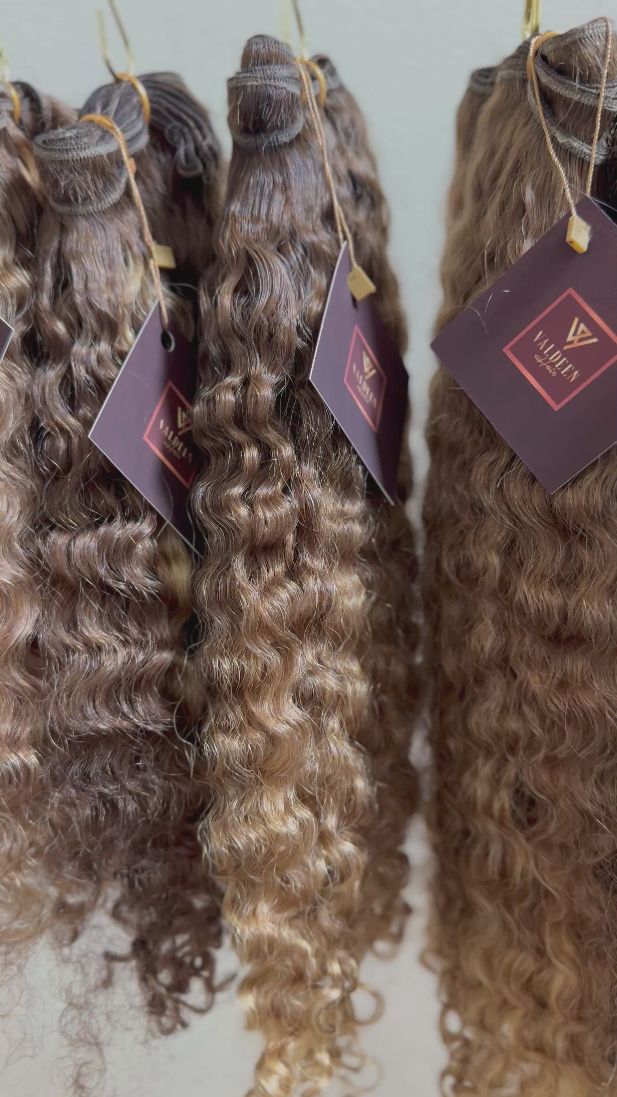 Burmese Curly | Toffee