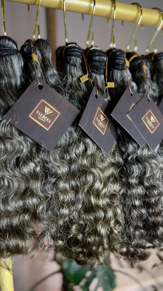 Burmese Curly | Gold